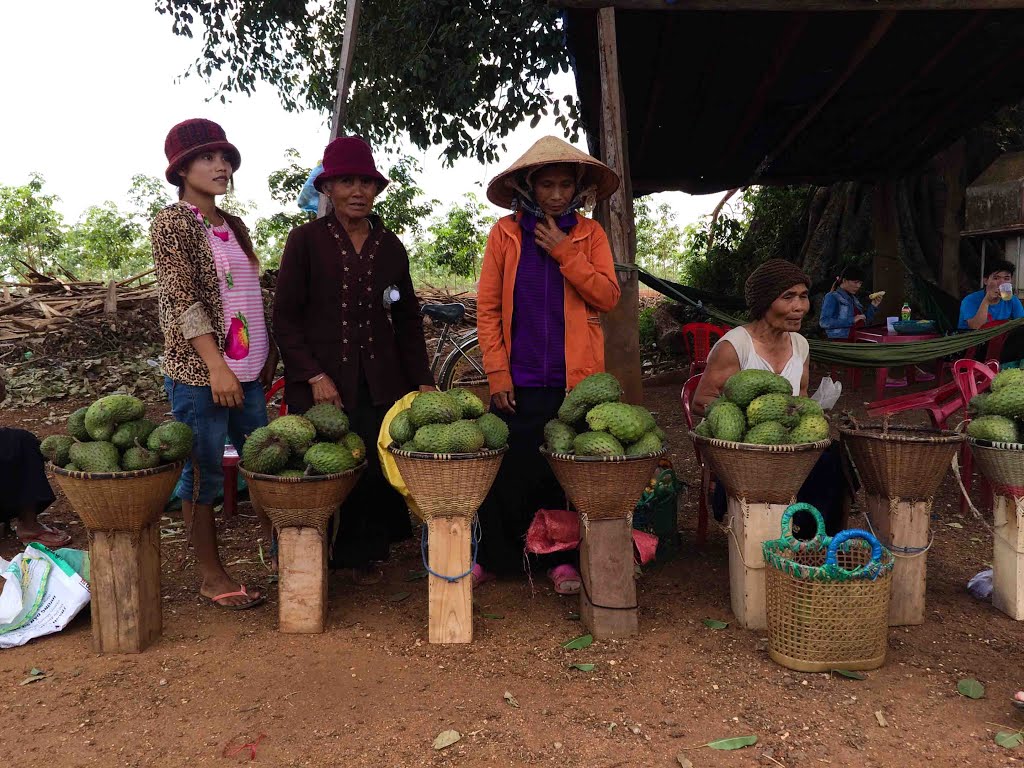 Ea K'Ly, Krông Pắc, Đắk Lắk, Vietnam by Hoang Viet Quan