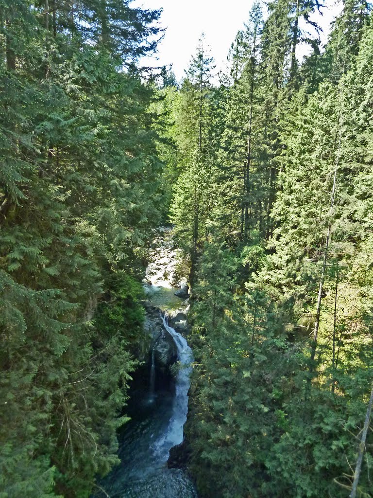 Lynn Creek from Lynn Canyon Suspension Bridge, North Vancouver, BC by FGuertin