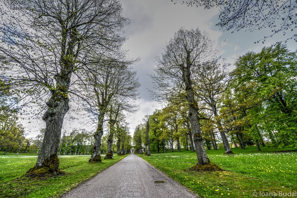 Drottningholm Park by Ioana Budai