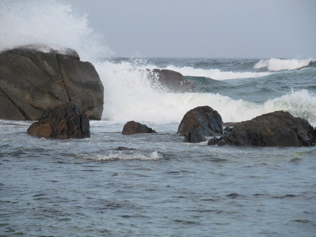 Fortunes Rocks by Teresa Chrzanowski F…