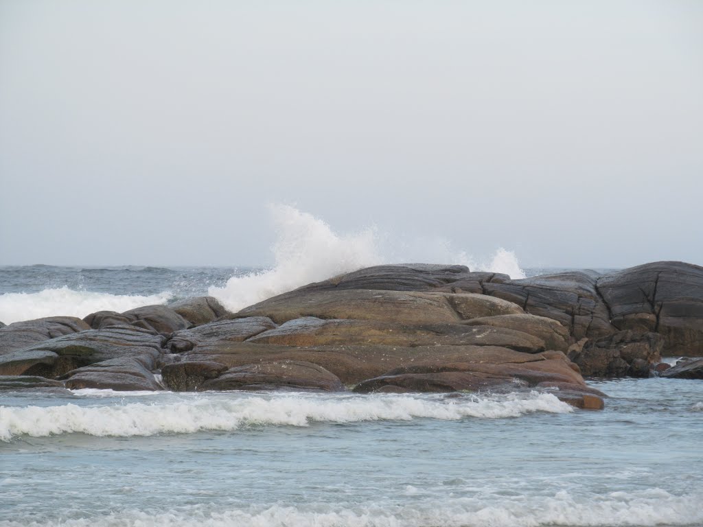 Fortunes Rocks by Teresa Chrzanowski F…