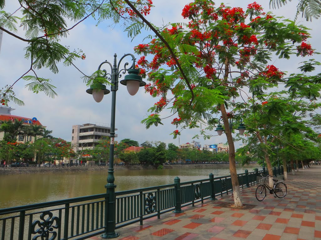 Phạm Hồng Thái, Hồng Bàng, Hải Phòng, Vietnam by Dần Lê