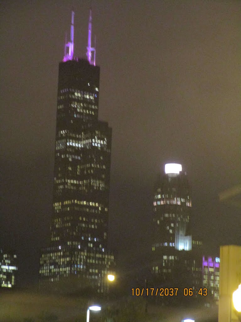 Willis Tower by Wayne Allen Sallee