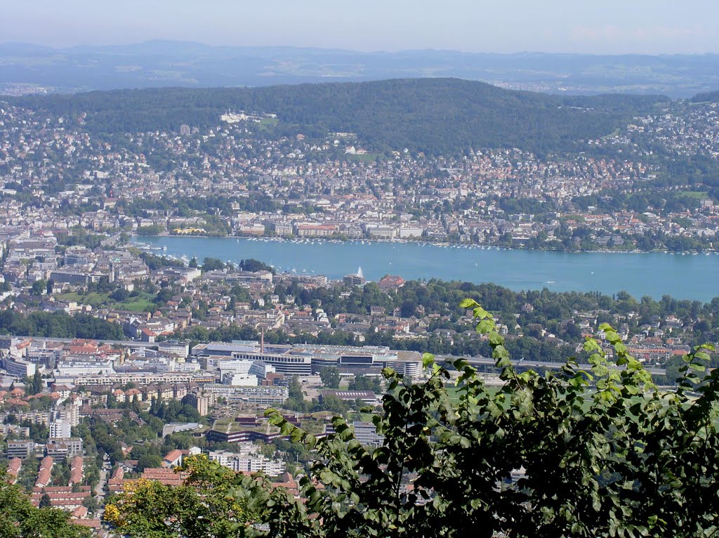 Uetliberg-kilátó, Zürich, Svájc by Balázs Hornyák