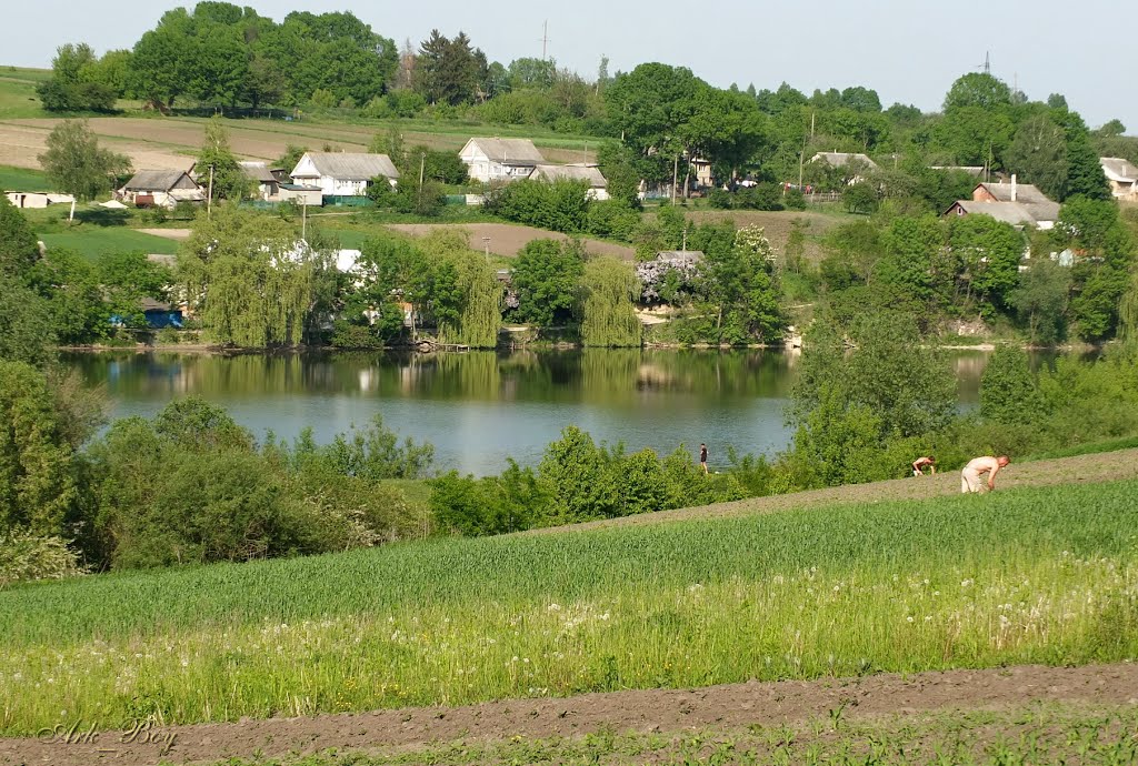 Sosnivka, Ternopil's'ka oblast, Ukraine by Ark Boyarsky