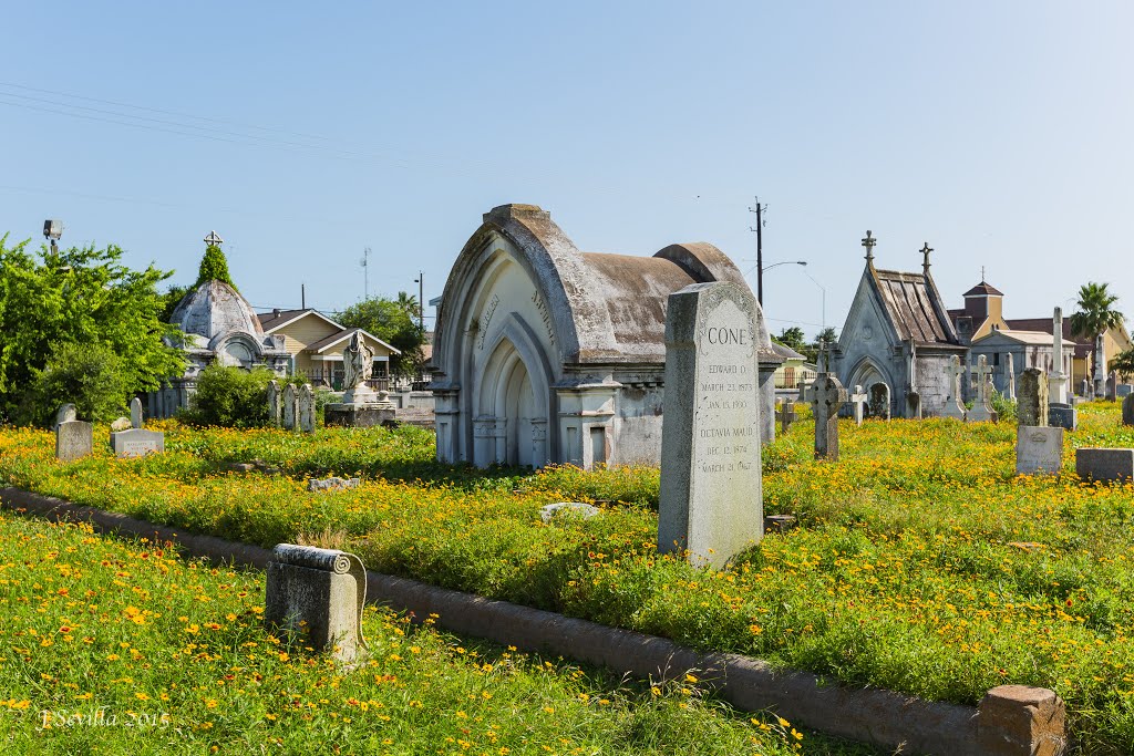 Broadway Cemetery Historic District in Galveston Texas by J Sevilla