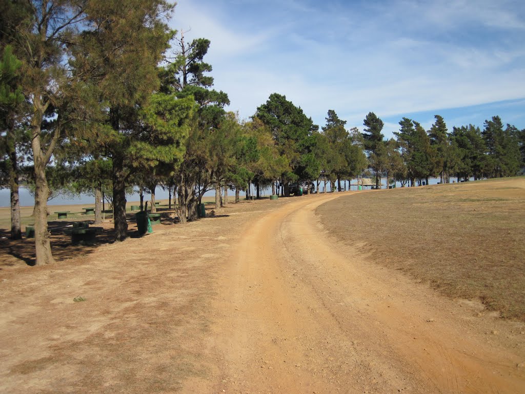 Gravel road next to trees by Charles Vrey