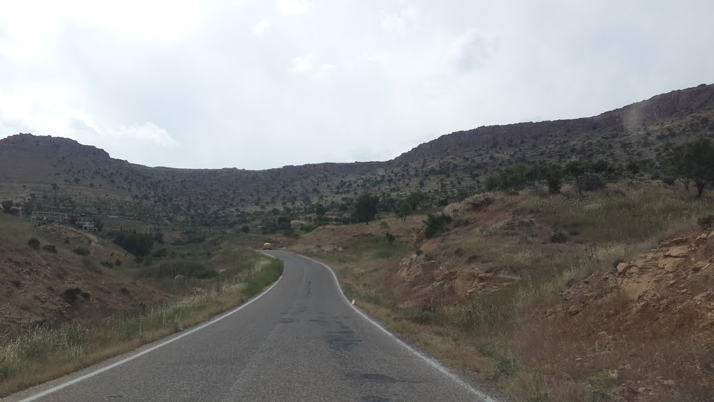 Mardin, Deyrul Zaferan yolu. Ndrpllk 2015 by Nadir Pulluk