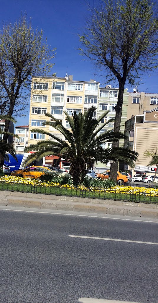 Istanbul, İstanbul, Turkey by Hadi Kazu