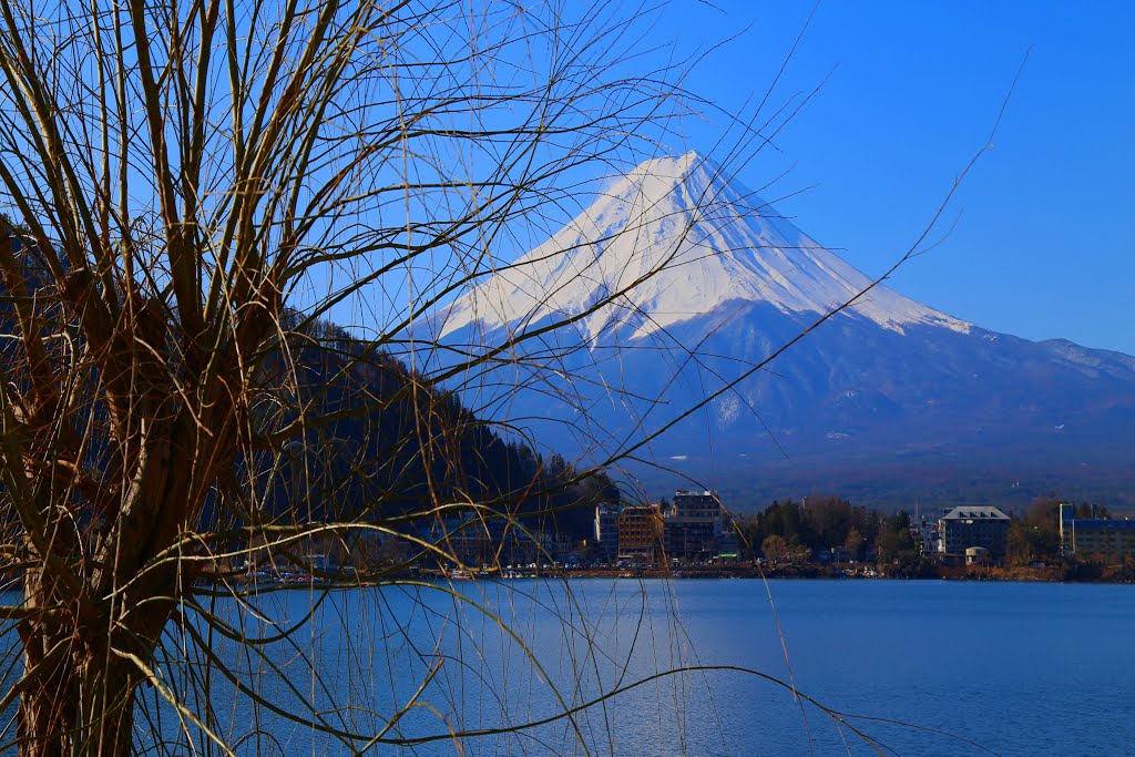 Azagawa, Fujikawaguchiko, Minamitsuru District, Yamanashi Prefecture 401-0303, Japan by Dần Lê