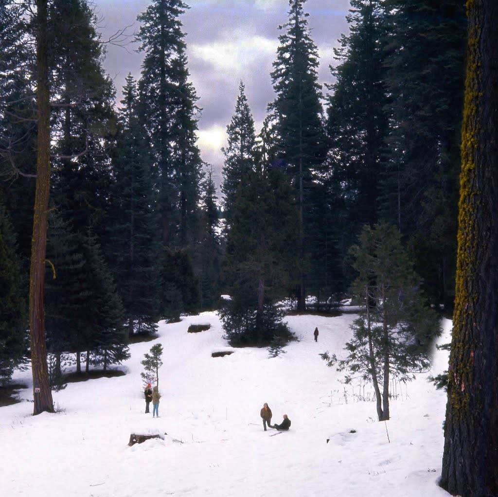 Winter delight in Yosemite in 1972 by Eva Lewitus