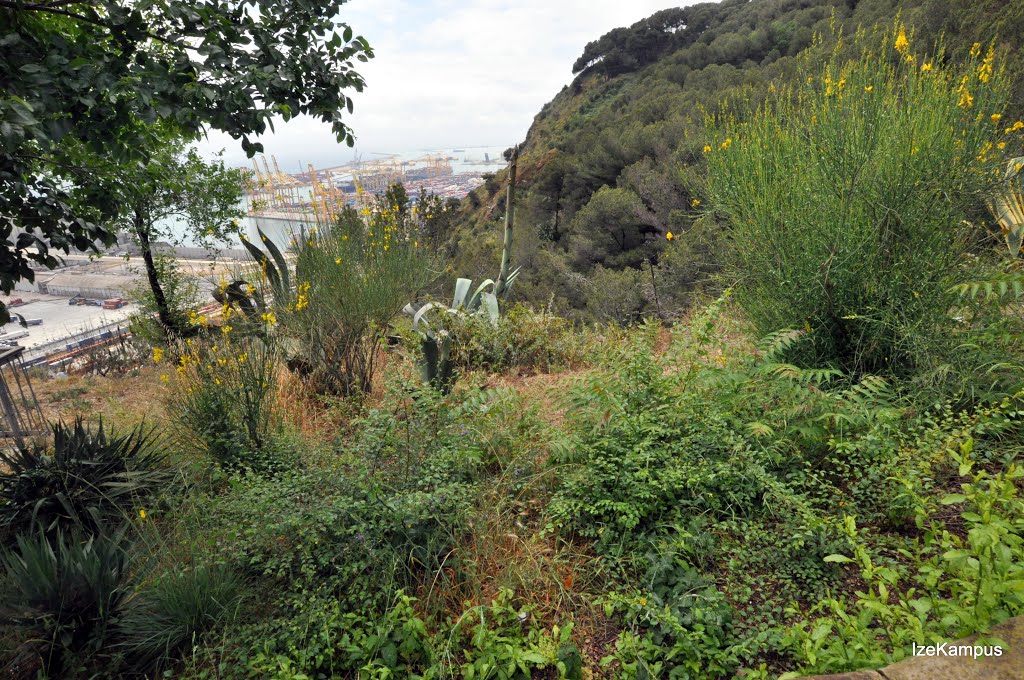 Parc de Montjuïc, Barcelona, Spain by IzeKampus