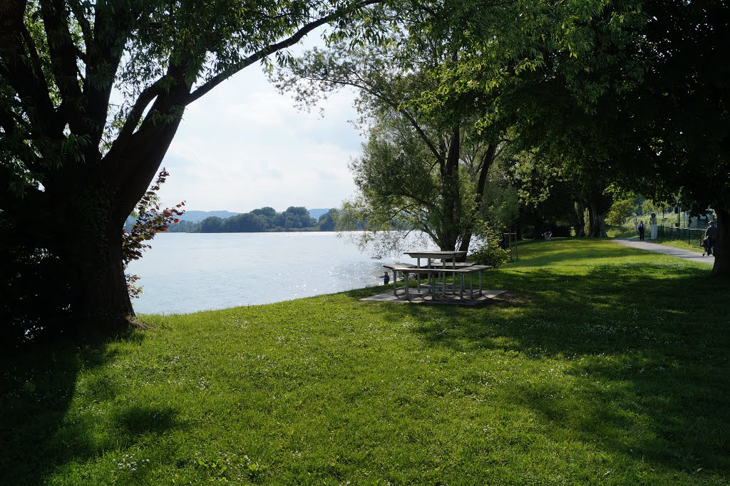 Grüne Promenade Ludwigshafen by Simon K.