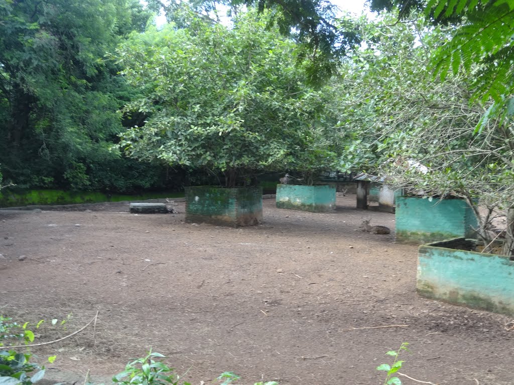 Nandan Kanan Zoological Park, Bhubaneswar, Odisha by sban1998