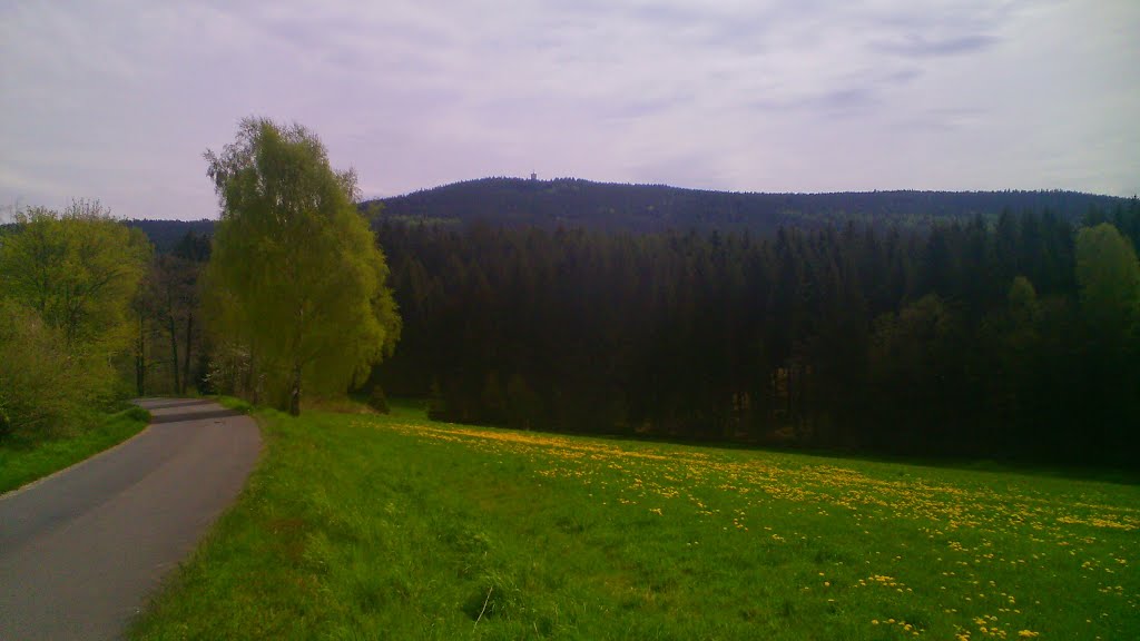 95698 Neualbenreuth, Germany by Václav Němec