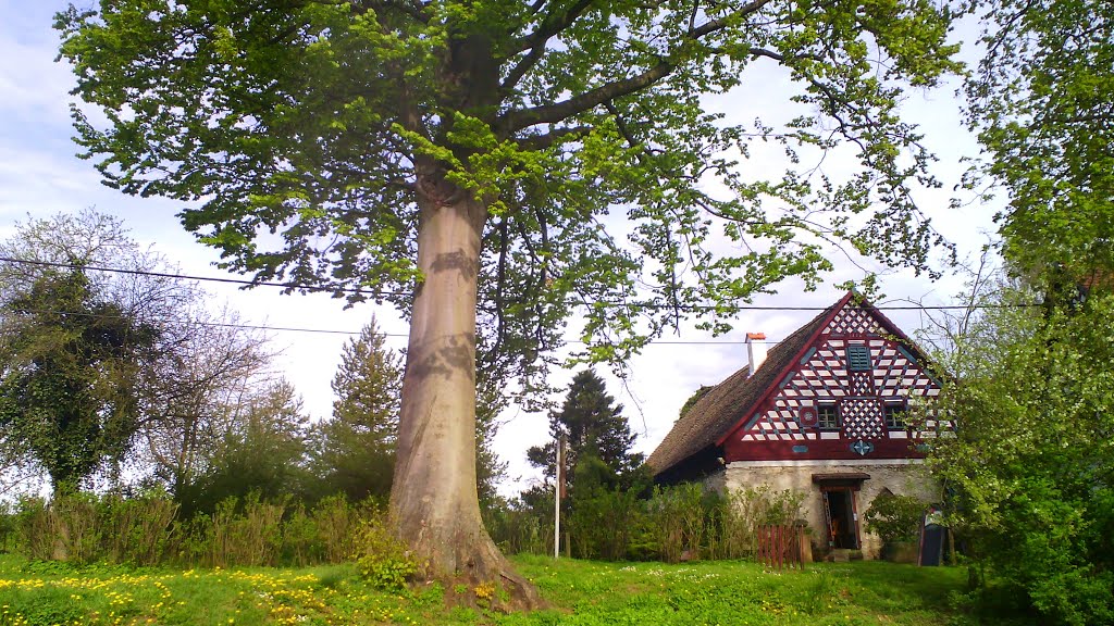 Skanzen Doubrava - Rustlerův statek Lipová Památky Vesnickou památkovou rezervací s unikátním souborem hrázděné lidové architektury chebského typu z 18. a 19. století je vesnice Doubrava u Lipové. Obec nabízí návštěvu jak soukromého skanzenu, tak i restaur by Václav Němec