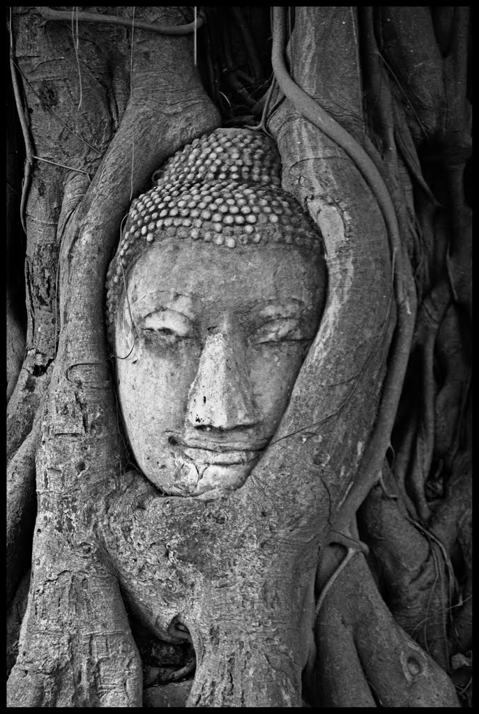 Wat Maha That by j l puffinba