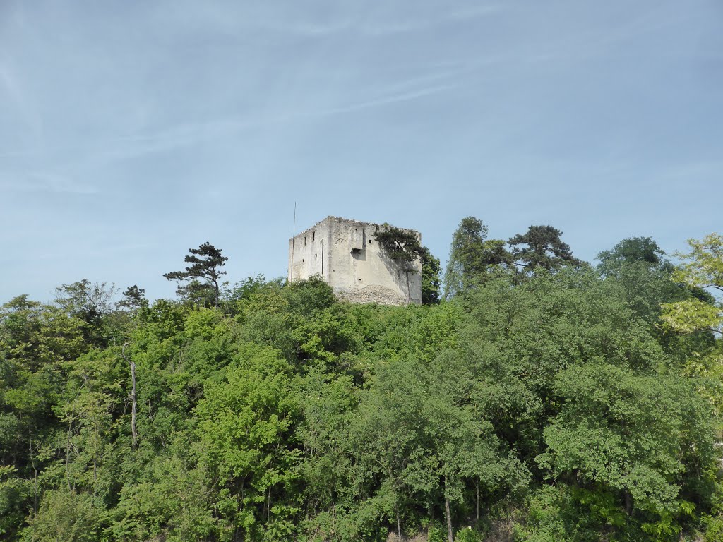 Ruine Bertholdstein by Gerold Treitler