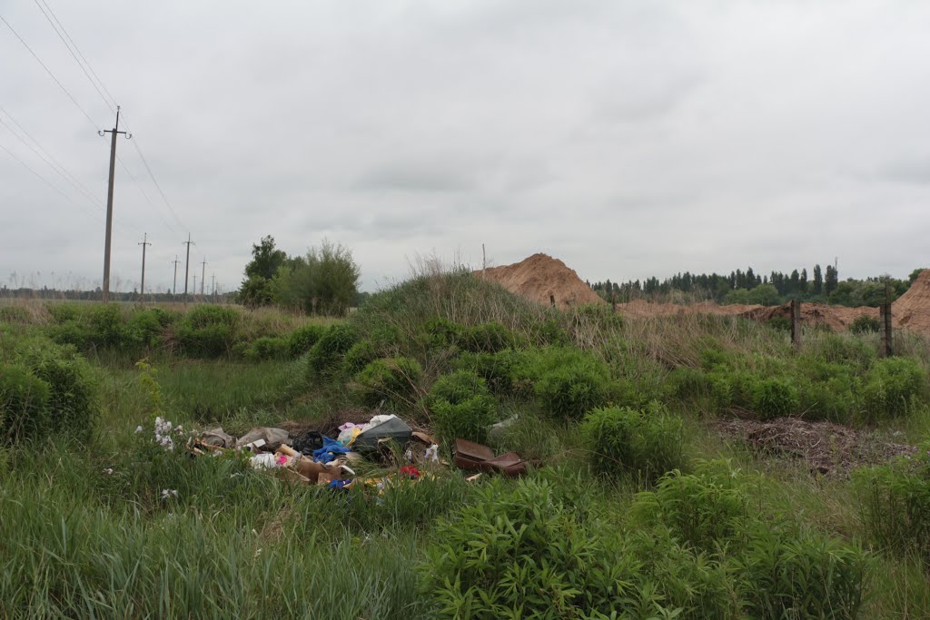 Brovars'kyi district, Kyivs'ka oblast, Ukraine by Vitaliy Stelnykovych