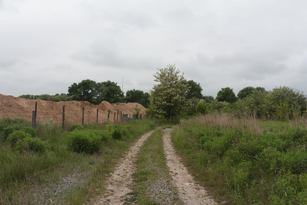 Brovary, Kyivs'ka oblast, Ukraine by Vitaliy Stelnykovych