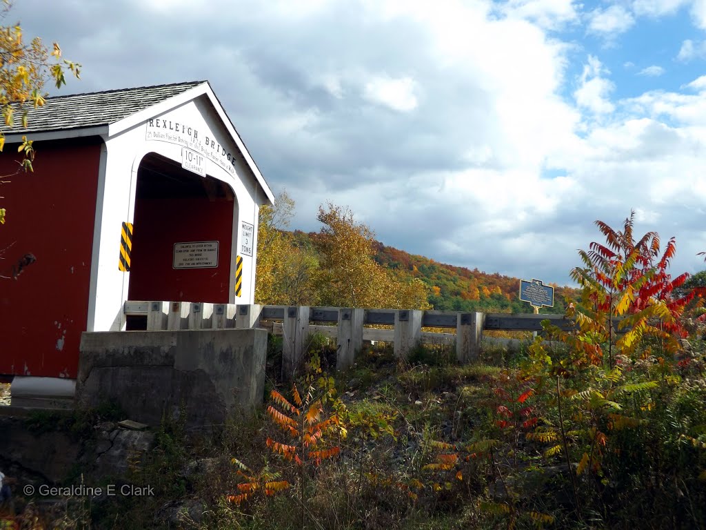 Copyright (c) Clarks_Rexleigh Covered Bridge BattenKill River 10.09.14 by Geraldine Clark