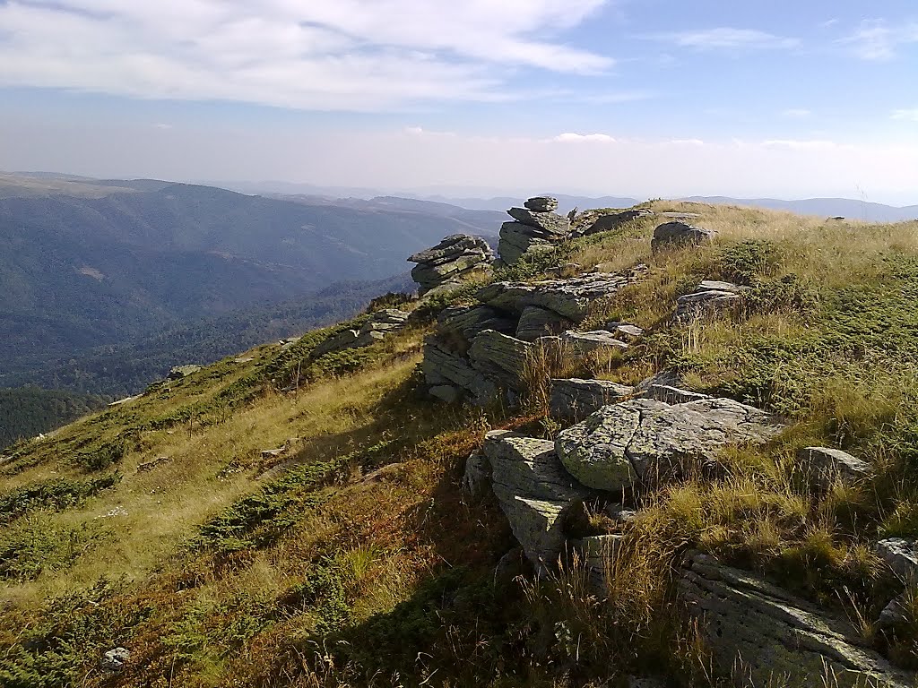 Dojkinci, Serbia by aleksandar matin