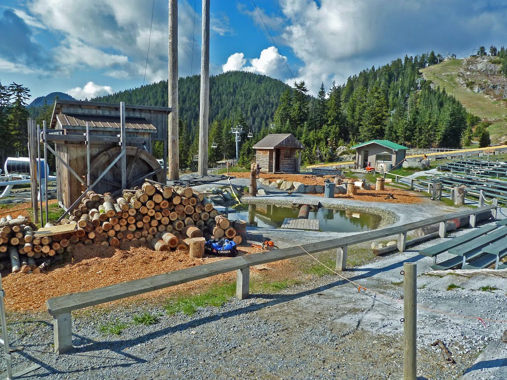 Grouse Mountain, North Vancouver, BC by FGuertin