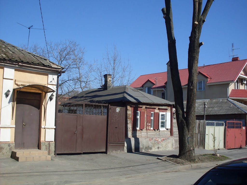 Маленький старый дом. Small old house. by Igor Volkhov 2