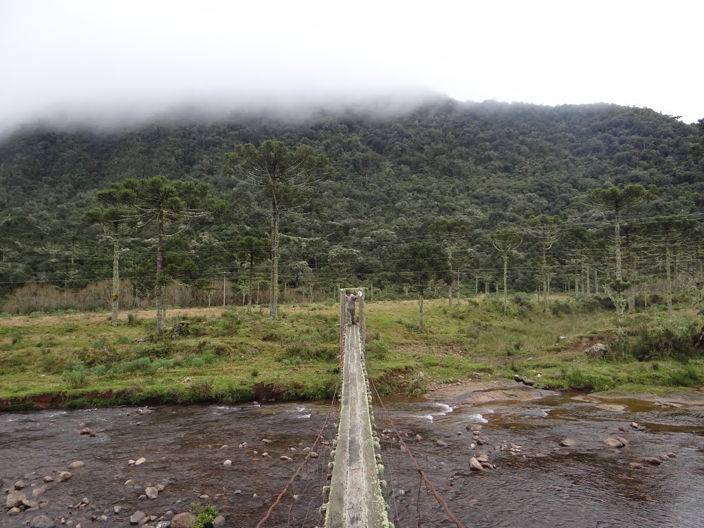 Urubici - State of Santa Catarina, Brazil by cicero r maciel