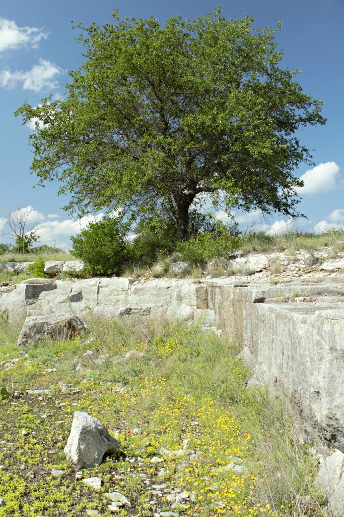 Menard County, TX, USA by Becky Robbins