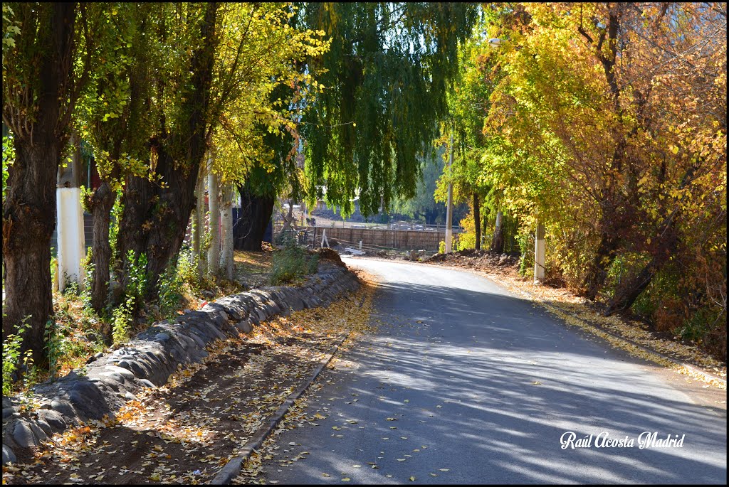 ► Paisaje otoñal en Coya ® by Raúl Acösta Madrid