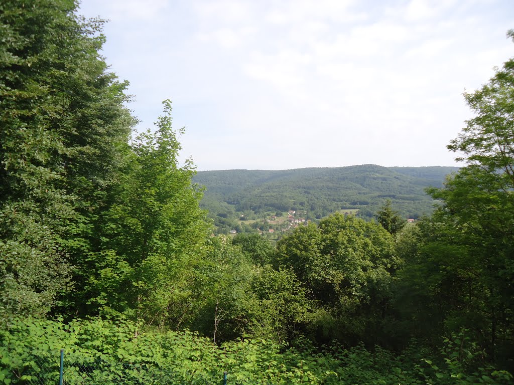 Vue sur Mourière & le Mt Cuquet vers Ronchamp by Claudius B.