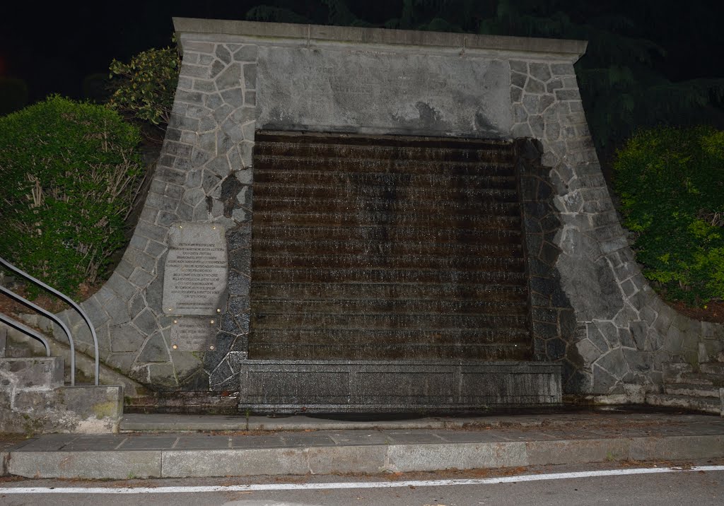 Pinerolo at night, a fountain г. Пинероло ночью, Фонтан by Ilyas Sadiev