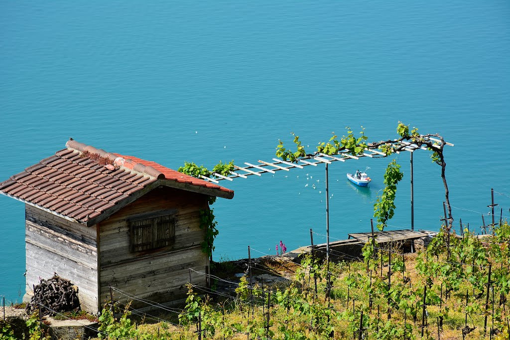 Chardonne, Switzerland by fantomette74