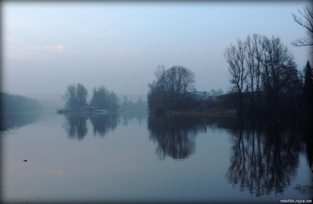 Morning Vltava river by M.B.K.Fish