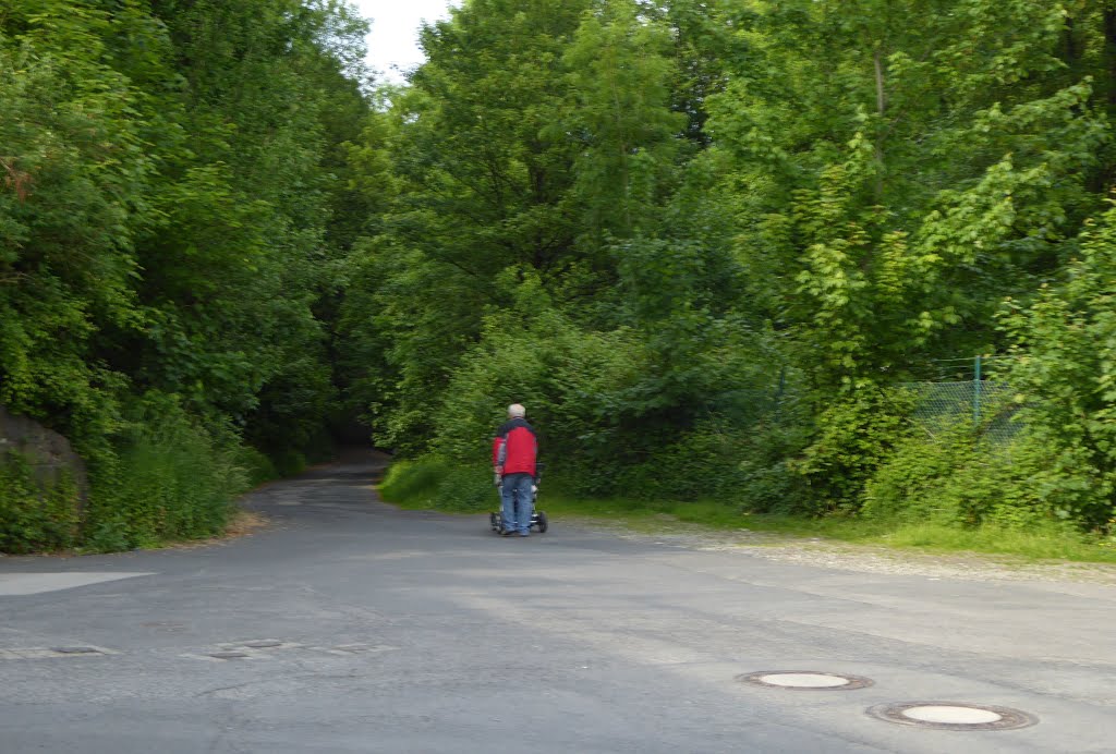 Männlein im Walde by So Gesehen