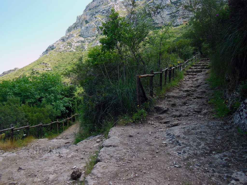 Sicily. SR. RNO Cava Grande del Cassibile. Half way up = Half way down by Michael Eckrich-Neub…