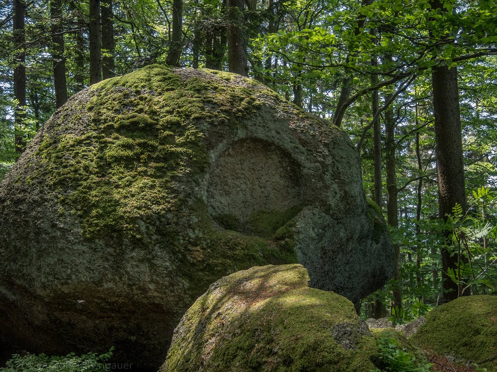 Vertikaler Schalenstein by Arnold Lengauer