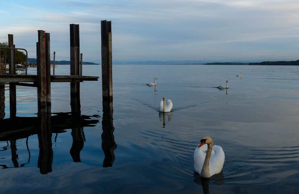 Überlingen, Germany by espee