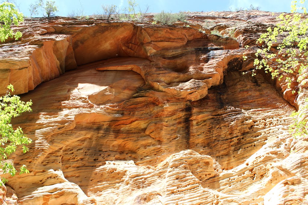 Alcove and Sandstone Carving inside Hidden Canyon by Aaron Zhu