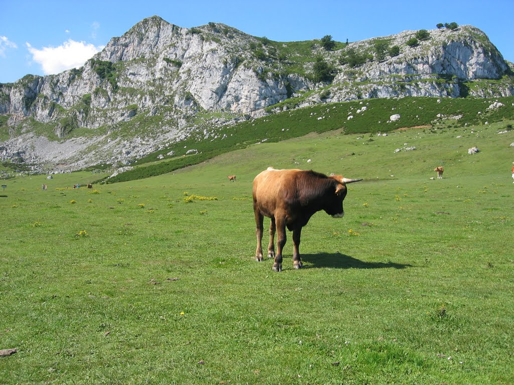 Pastos de los Lagos de Covadonga by Ramón Sobrino Torren…