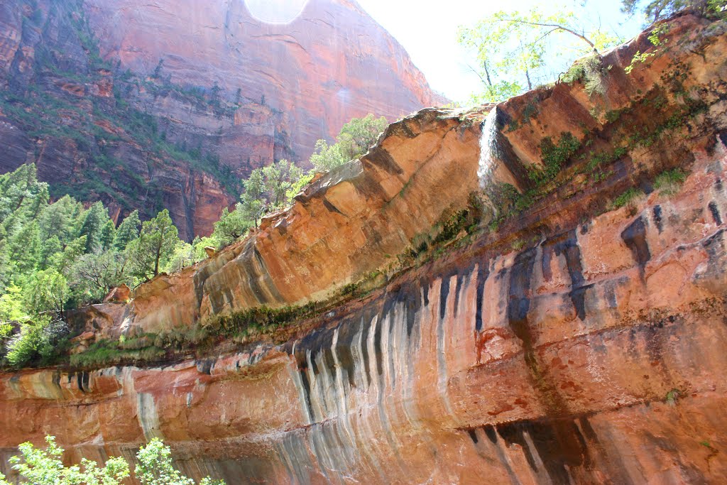 Waterfall above lower Emerald Pool by Aaron Zhu