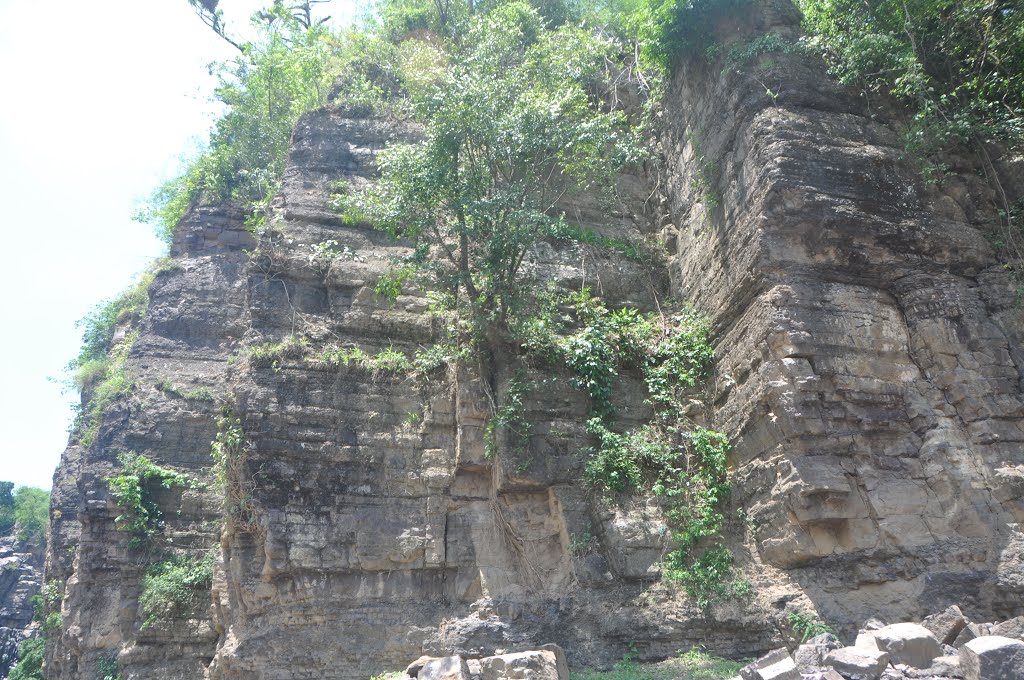 Thôn Tân Bình, Tân Thành, Đức Trọng, Lâm Đồng, Vietnam by goitinh2007