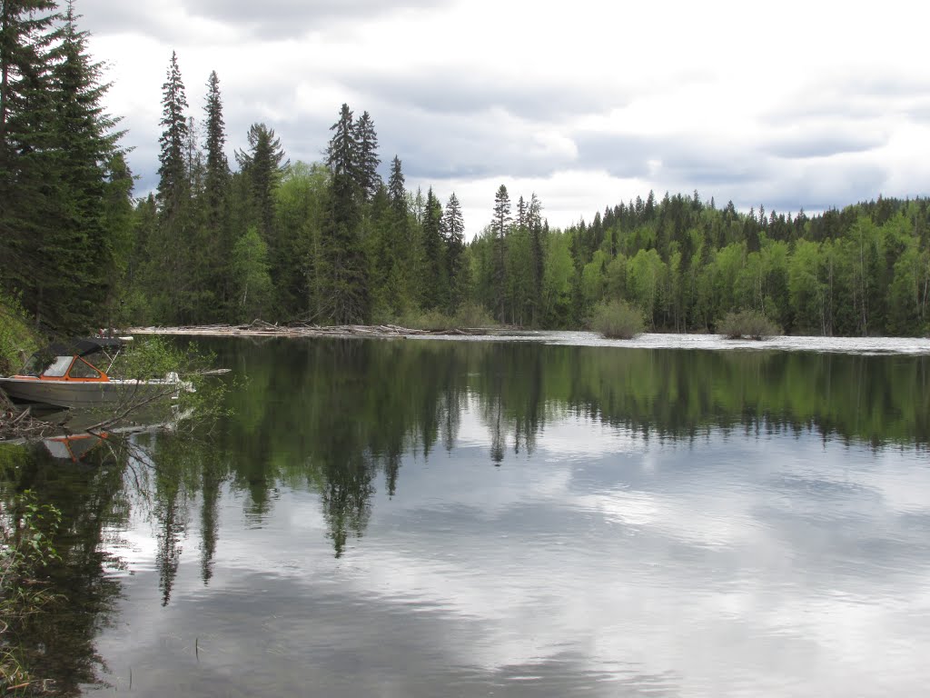 Still Waters At The Mouth Of Clearwater Lake Where It Empties Into The River In Wells Gray Provincial Park BC May '15 by David Cure-Hryciuk