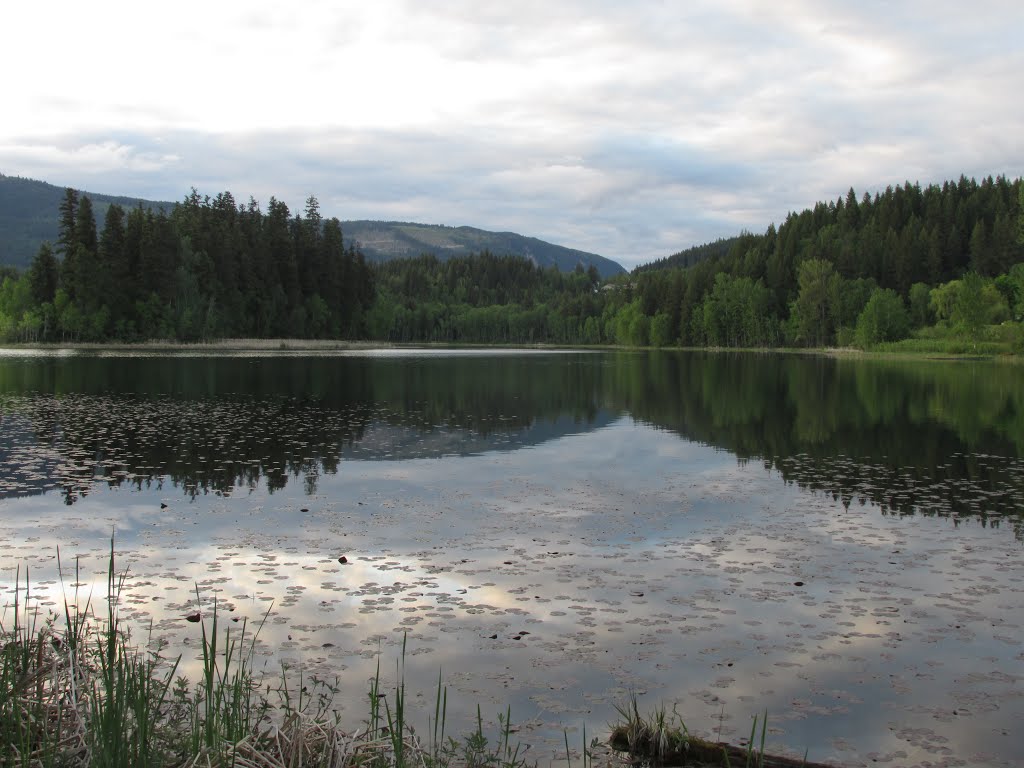 Evening Stillness On Dutch Lake In Clearwater BC May '15 by David Cure-Hryciuk