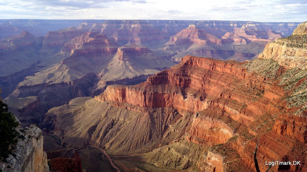 Grand Canyon Village, AZ 86023, USA by Mickey Løgitmark