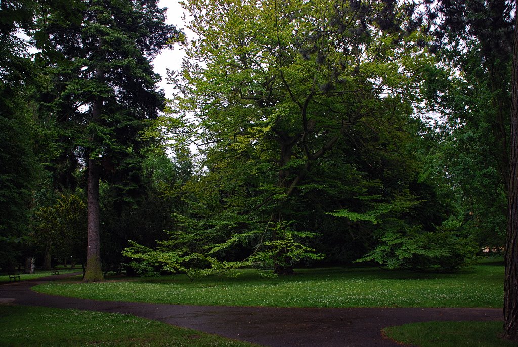 Gdansk Oliwa Park by Wlodzimierz Poznansk…