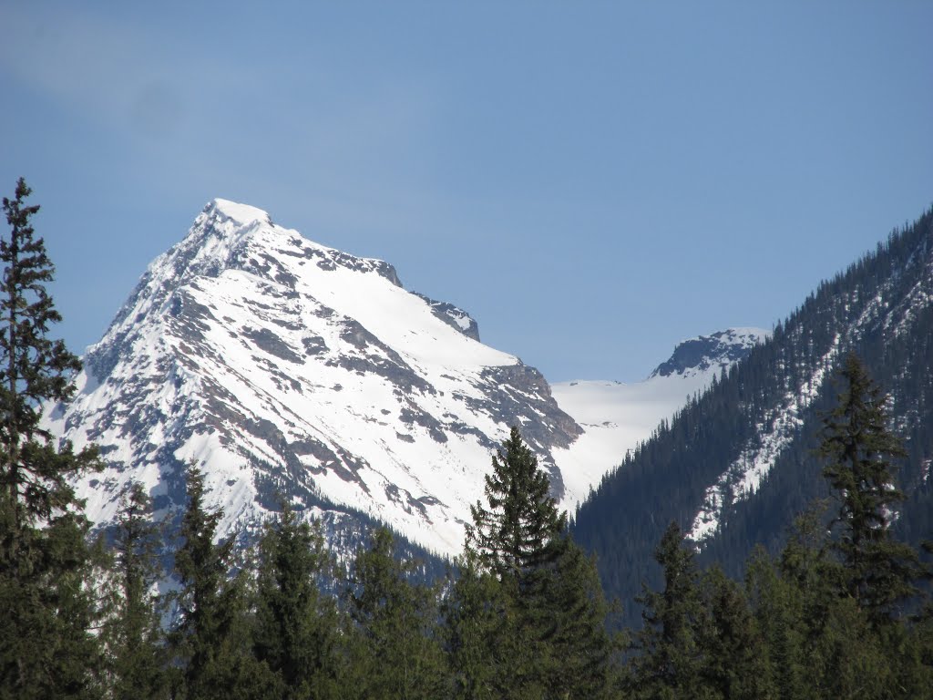 Steep, Snowy Summits Above Vivid Green Trees Near Blue River BC May '15 by David Cure-Hryciuk