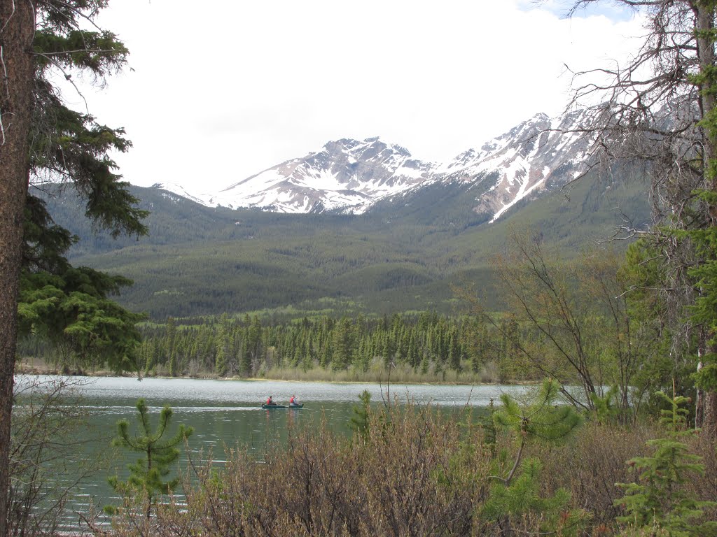 Peacefully Naturally Framed Greenery On Pyramid Lake In Jasper National Park AB May '15 by David Cure-Hryciuk