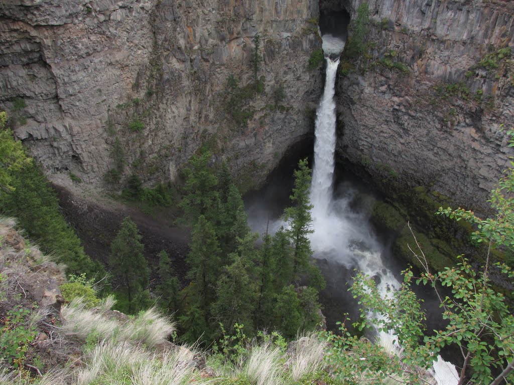 The Stunning Whitewater Column At Spahats Falls In Wells Gray Provincial Park BC May '15 by David Cure-Hryciuk